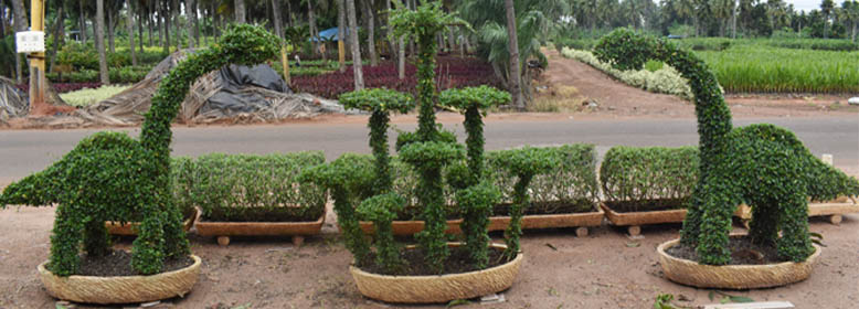 Landscaping Image 1
